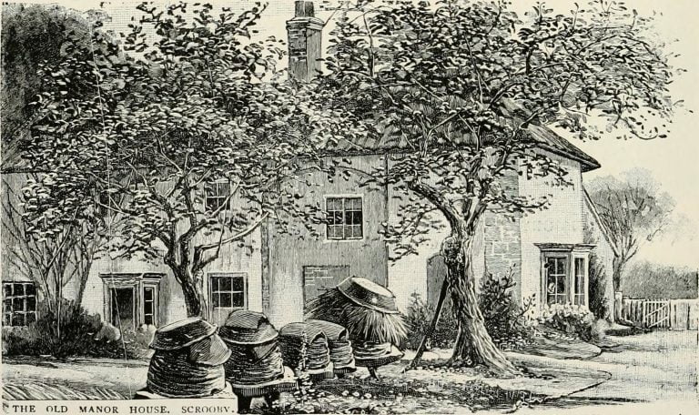 14760714156 361668c0ac h 768x456