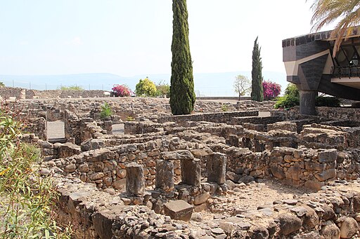 512px Holy Land 2016 P0453 Capernaum excavations between St. Peters haus and Synagogue
