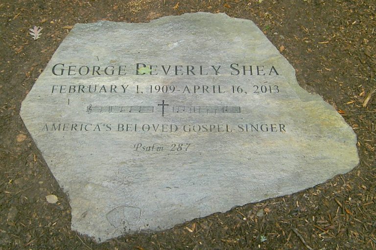 108644857 138242226703 768x512