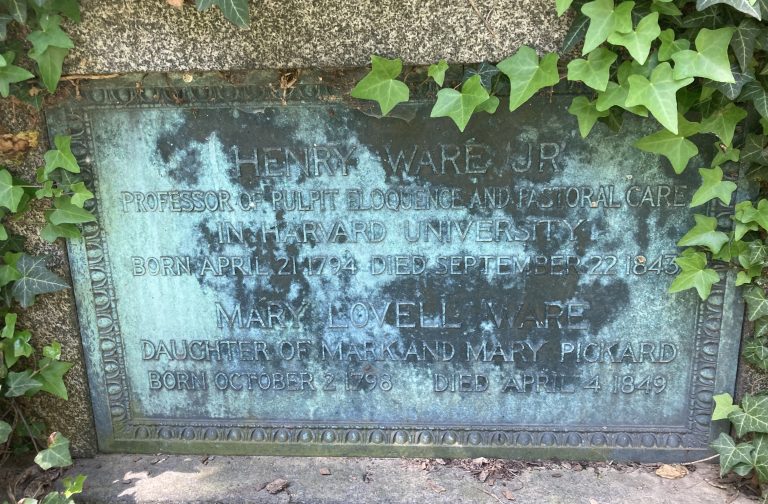 148103363 c7b5ed33 5995 44cd adf4 9c4ca961eb14 768x504