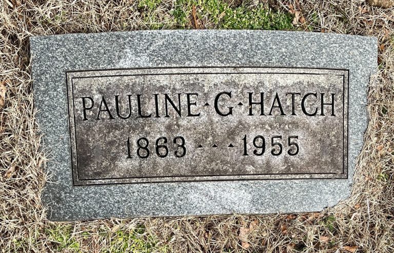 241080374 cef3b032 c88b 4c94 ac5d 21e674cc6a35 768x494