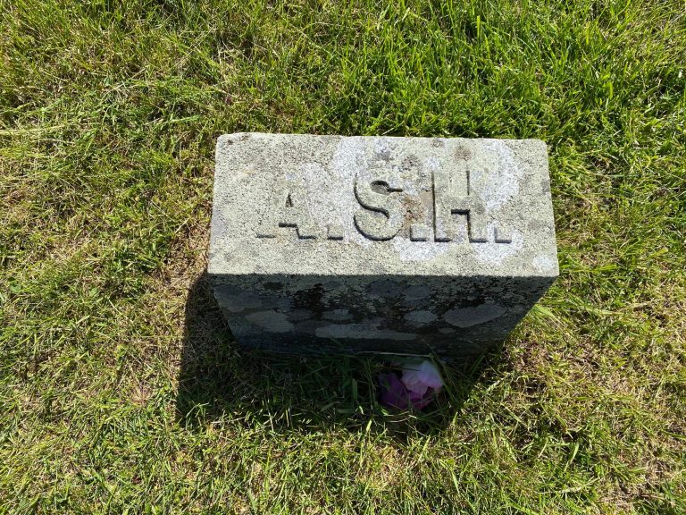 42738401 be8a4bb4 b7b4 4b5a 8745 883b891fc81a 768x576