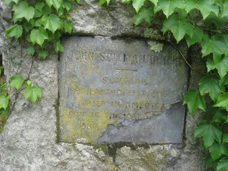 53260092 127570176991 768x576