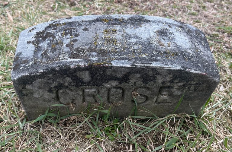 71108993 659865d6 5147 401e a964 b65910a3e90c 768x504