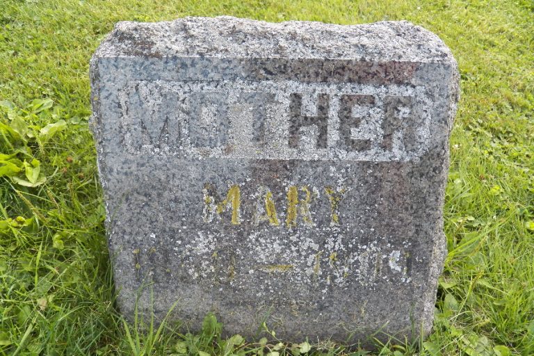 88452555 1406864579 768x512