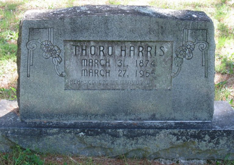 92236658 135272514833 768x541