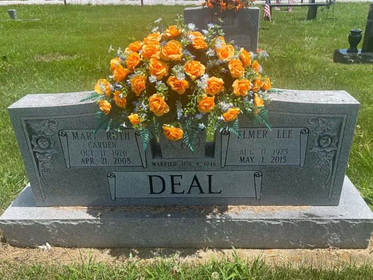 146317556 65040296 8005 4767 9836 3c9bf46fd8d8 768x576