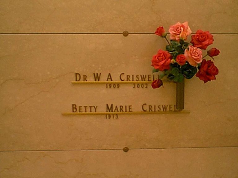 6086021 1041206854 768x576