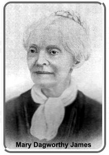 11383664 137260422792