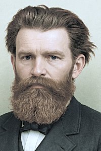 bradbury wb color right