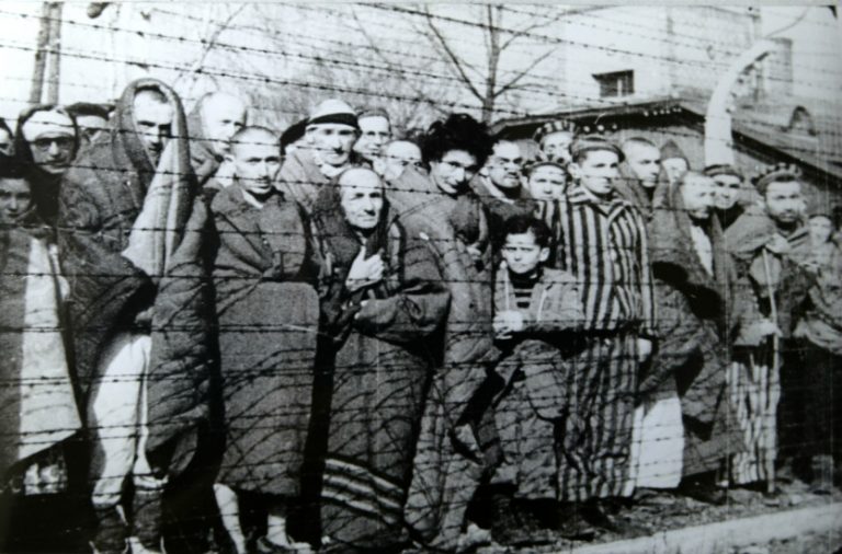 Auschwitz Liberated January 1945 768x506